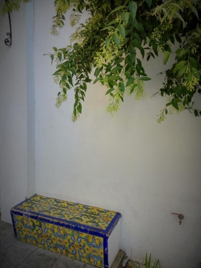 Apartment Alacas Sevilla Extérieur photo
