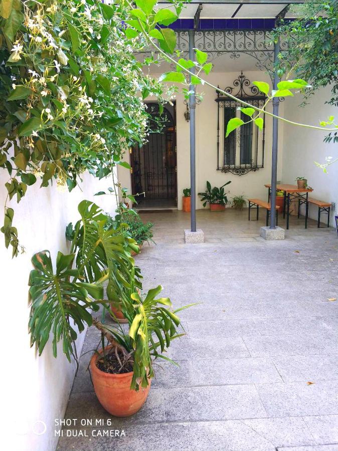 Apartment Alacas Sevilla Extérieur photo